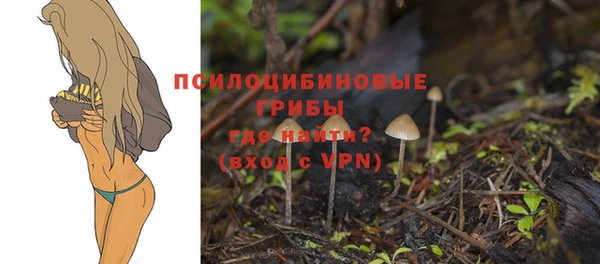 марки nbome Гусиноозёрск