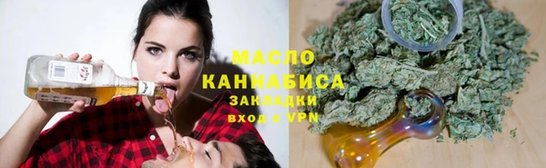 твердый Гусев