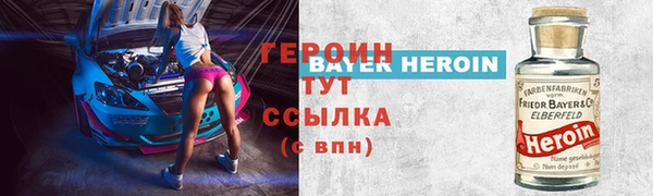 твердый Гусев