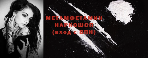 твердый Гусев