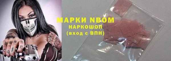 твердый Гусев
