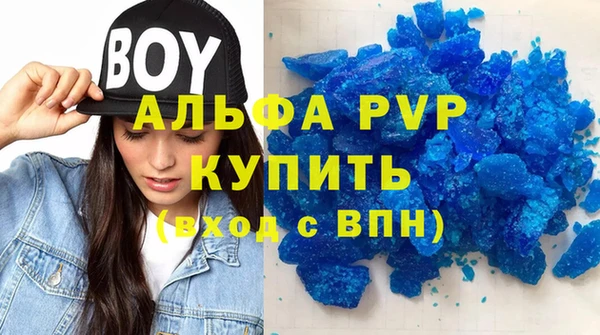 твердый Гусев