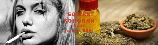 твердый Гусев