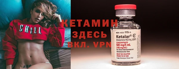твердый Гусев