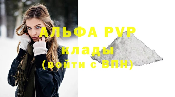 твердый Гусев
