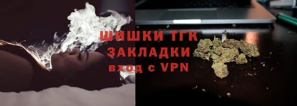 твердый Гусев
