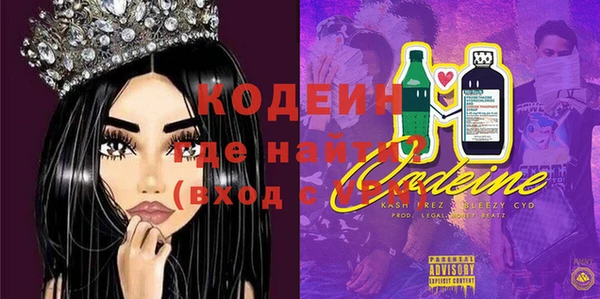 твердый Гусев