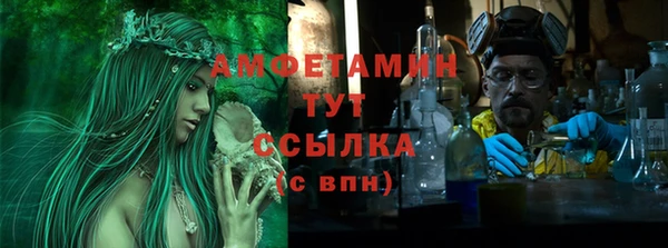 твердый Гусев