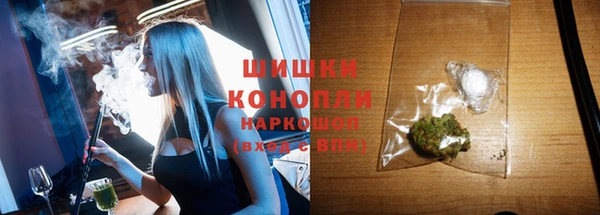 твердый Гусев