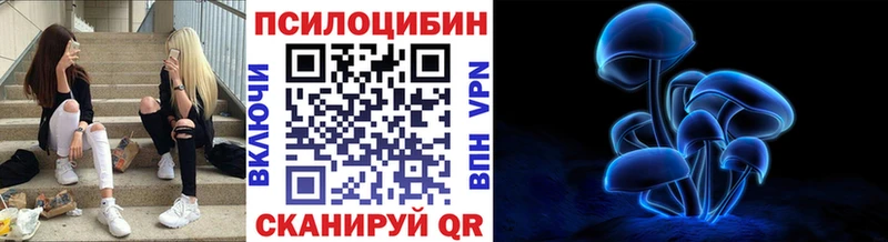 Галлюциногенные грибы мухоморы  Купить где  Саранск 